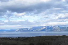 SDC11788.webp