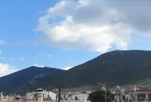 SDC11786.webp