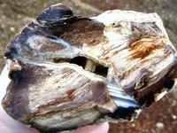 DSCF0001.webp