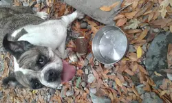 20170916_154241.webp
