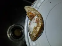 20180129_155417.webp
