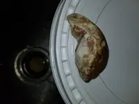 20180129_155327.webp
