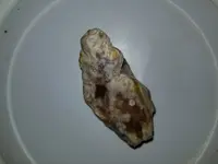20180129_155314.webp