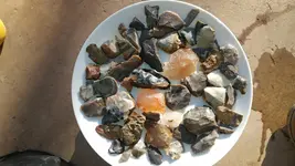 0304181606.webp