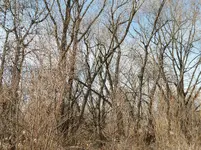 IMG_20180129_155429.webp