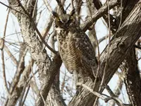 IMG_20180129_155351.webp