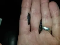 20180122_191245.webp