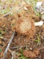 20180203_122459.webp