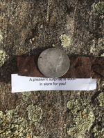 ImageUploadedByTreasureNet.com1518378084.142078.webp