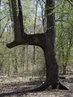 joneslake_1.webp