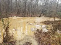 20180211_134401.webp