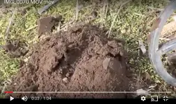 Screen Shot 2018-03-11 at 1.14.52 PM.webp