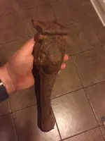 iron leg.webp