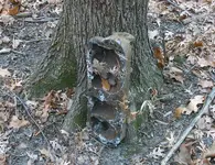 100_8244.webp