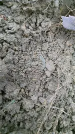 Copper Dirt.webp Copper Dirt.webp