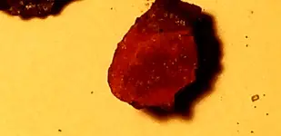 20180123_054020.webp