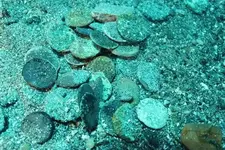Bronze coins.webp
