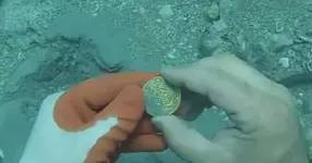 072915-sea-treasure-1200x630.webp
