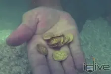 more coins.webp