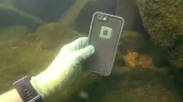 AARCs Cell Phone.webp