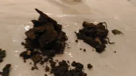 P_20180226_195946.webp