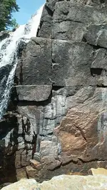NY Seven Steps.webp NY Seven Steps.webp