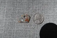 IMG_5109.webp IMG_5109.webp
