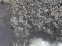DSCF5572.webp
