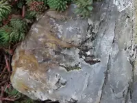 DSCF5573.webp