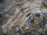 DSCF5519.webp