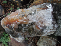 DSCF5547.webp