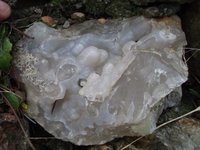 DSCF5536.webp