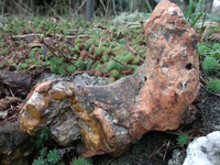 DSCF5523.webp