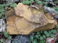 DSCF5520.webp