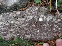 DSCF5554.webp