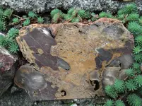 DSCF5522.webp