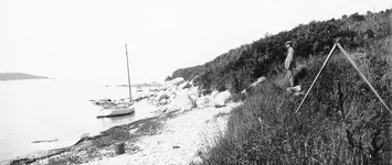 south-shore-dumpling.webp