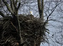 K1600_DSCN8107.webp