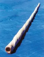 NarwhalTusk.webp