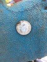ImageUploadedByTreasureNet.com1520806233.164548.webp