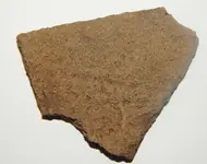 DSCN8975.webp