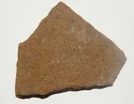 DSCN8977.webp