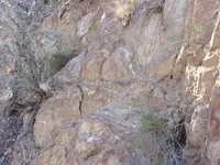 100_0051.webp