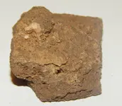 DSCN8980.webp