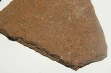 DSCN8984.webp