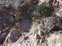 100_0053.webp