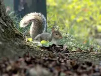 DSCN1086_final.webp
