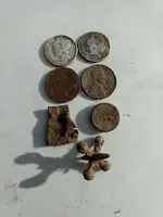 hs coins.webp