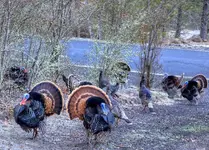 002_22.webp