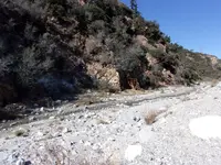 100_0055.webp